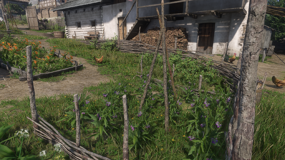 Comfrey in the Herbalist's Garden in Troskowitz