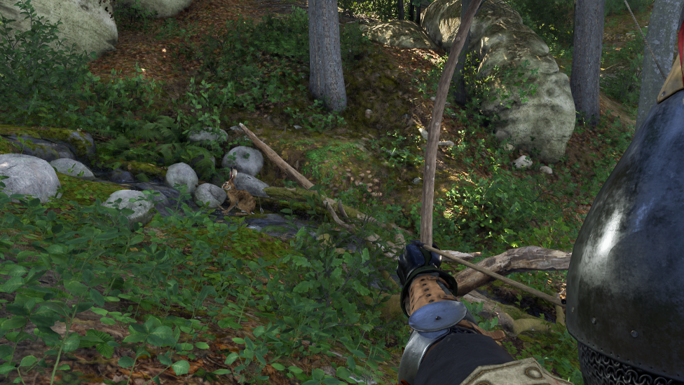 Bows are Mainly the Best Weapons For Hunting