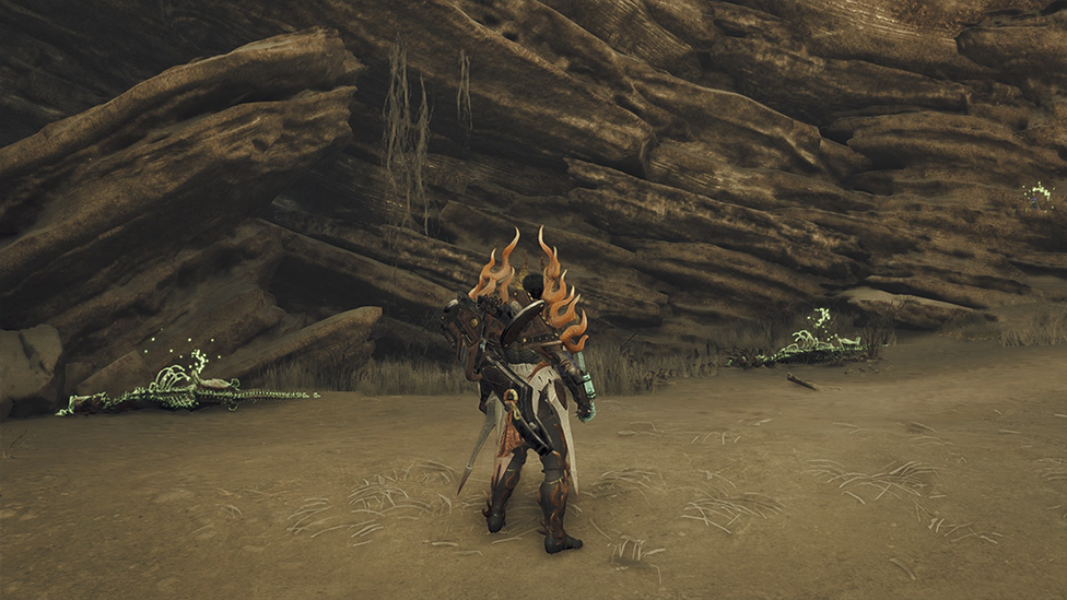 Area 9 With Bonepiles