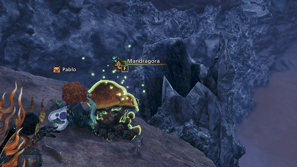 Mandragora in Area 6 Windward Plains
