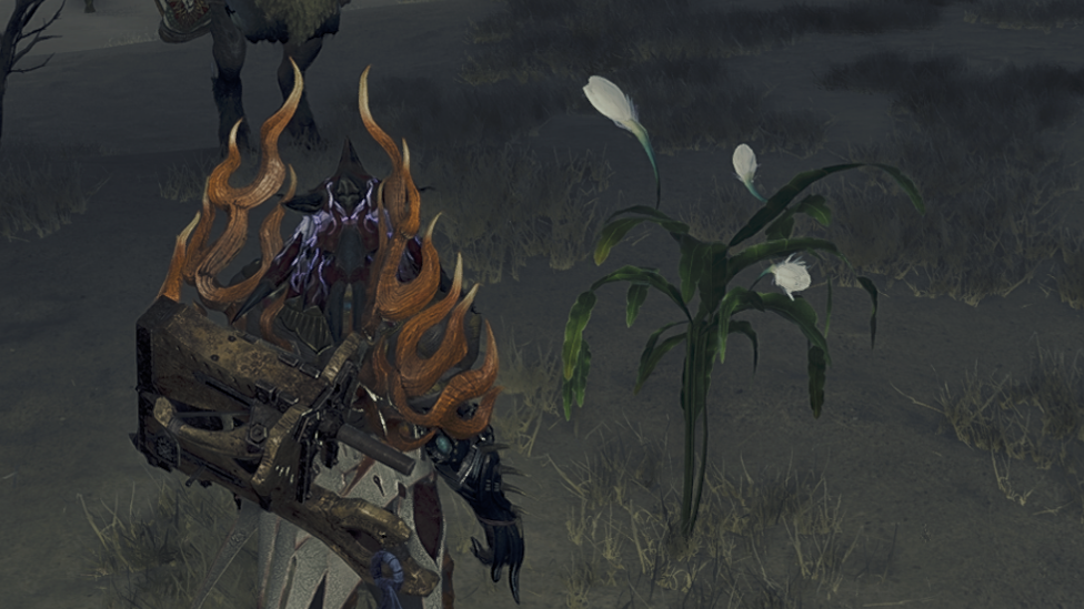 During Full Moon Wait For the Ephemeral Blossom to Unveil to Acquire Nightflower Pollen