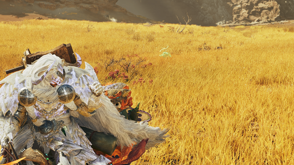 Slinger and Slinger Ammo