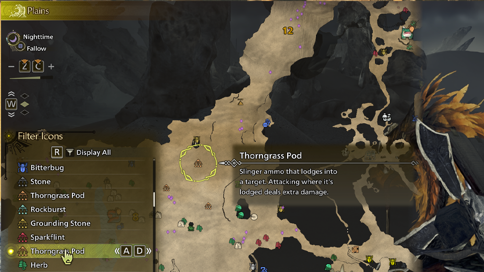 Thorn Pods Can Be Found Easily in Plains Desert