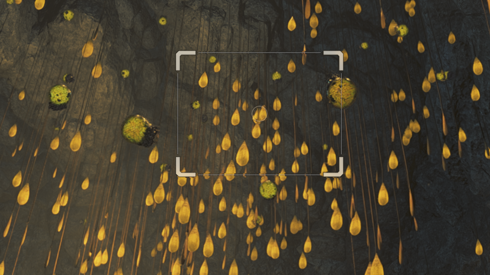 Aim Carefully To Catch Xu Yo