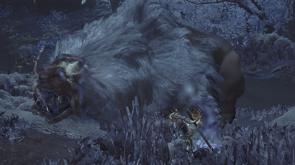 Focus On Doshagumas&#039; Legs