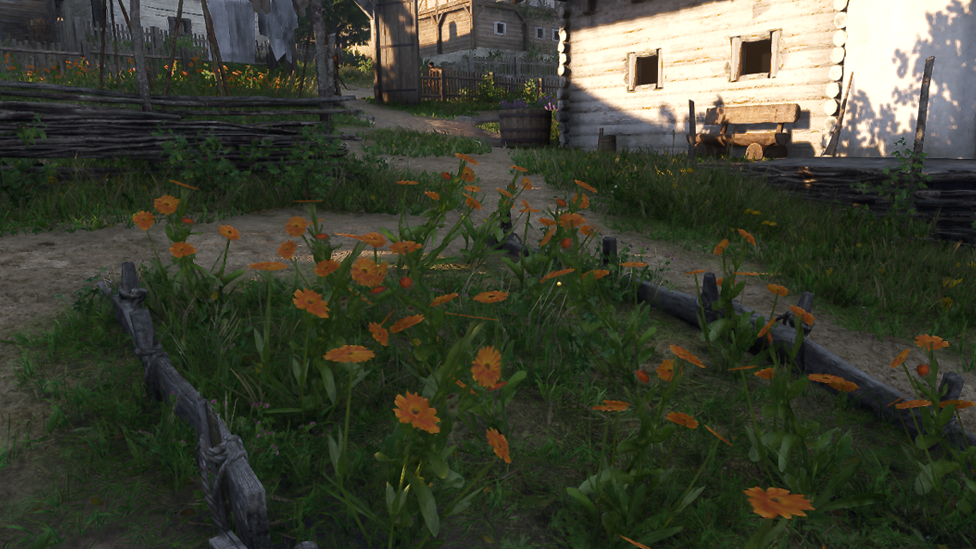 Pick Marigolds Near the Trovitapothecary