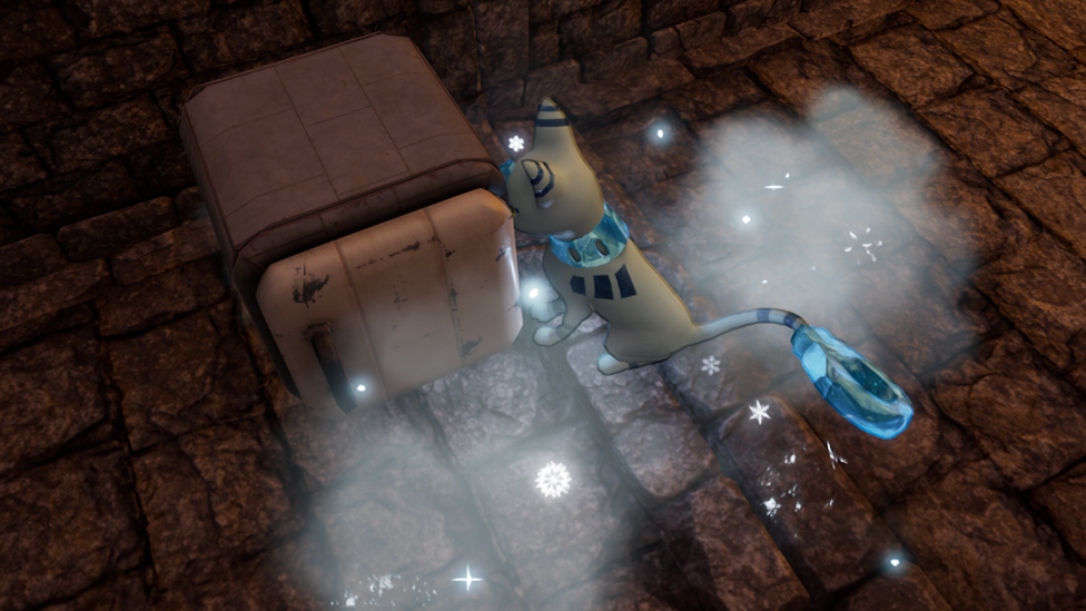 Using Cooling Box to Preserve the Food