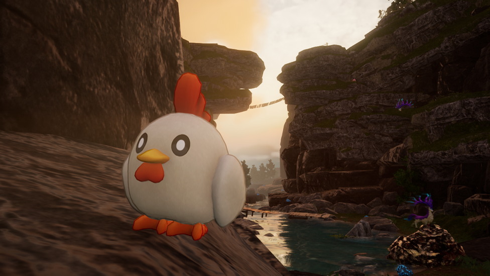 Chikipi Provides Reliable Source of Meat