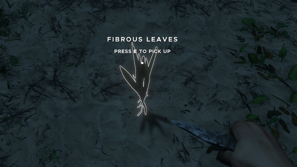 Lashing is Created With Fibrous Leaves