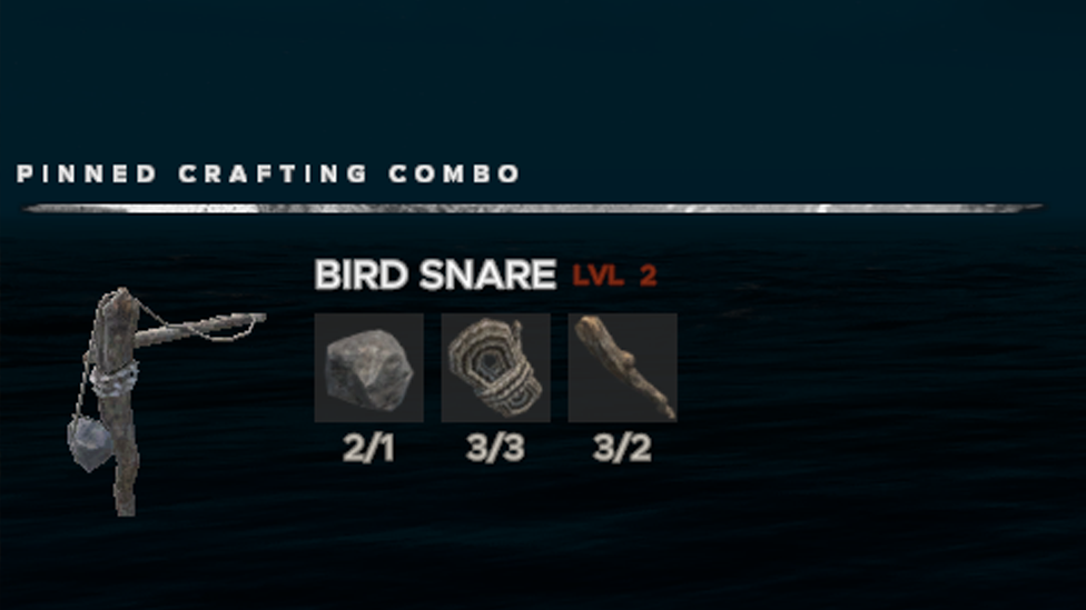 Bird Snare Recipe