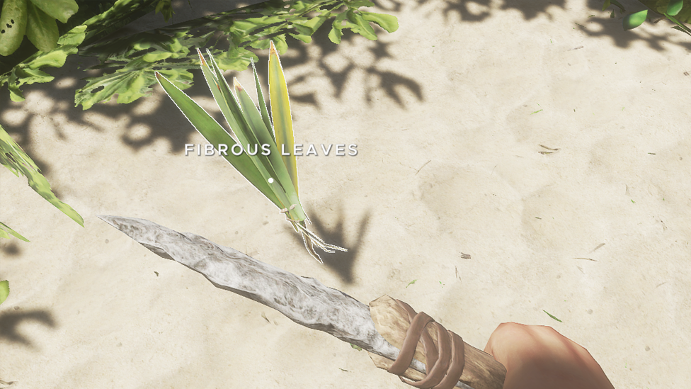 Gather Fibrous Leaves