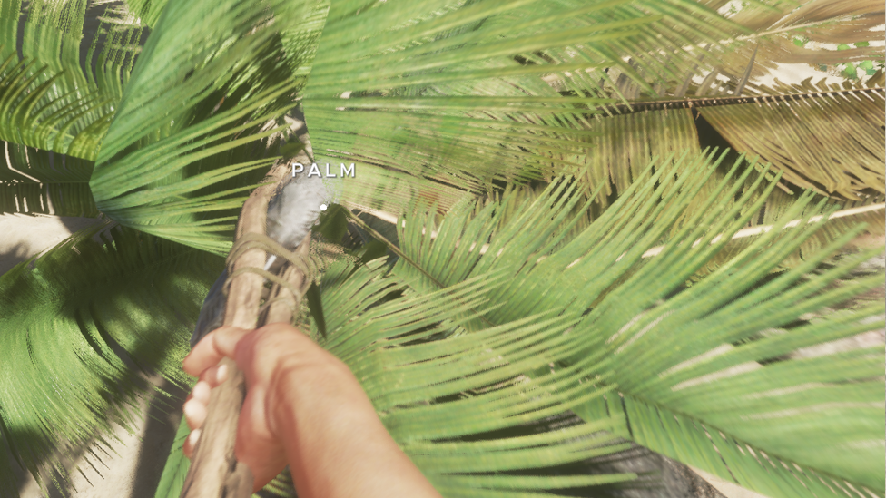 Chopping Down Palm Tops