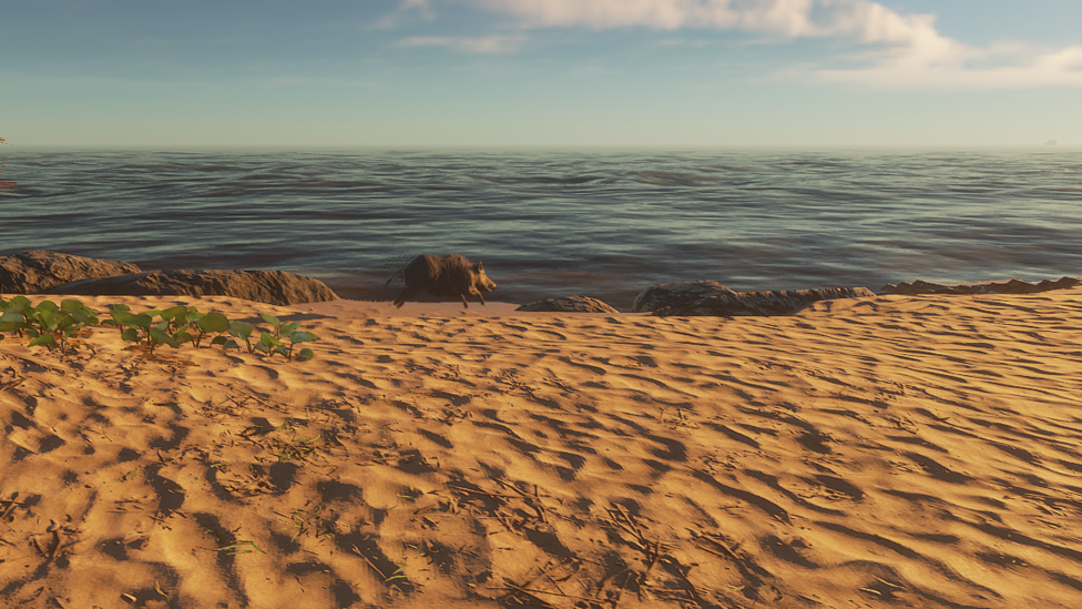 Explore Islands to Find Animals