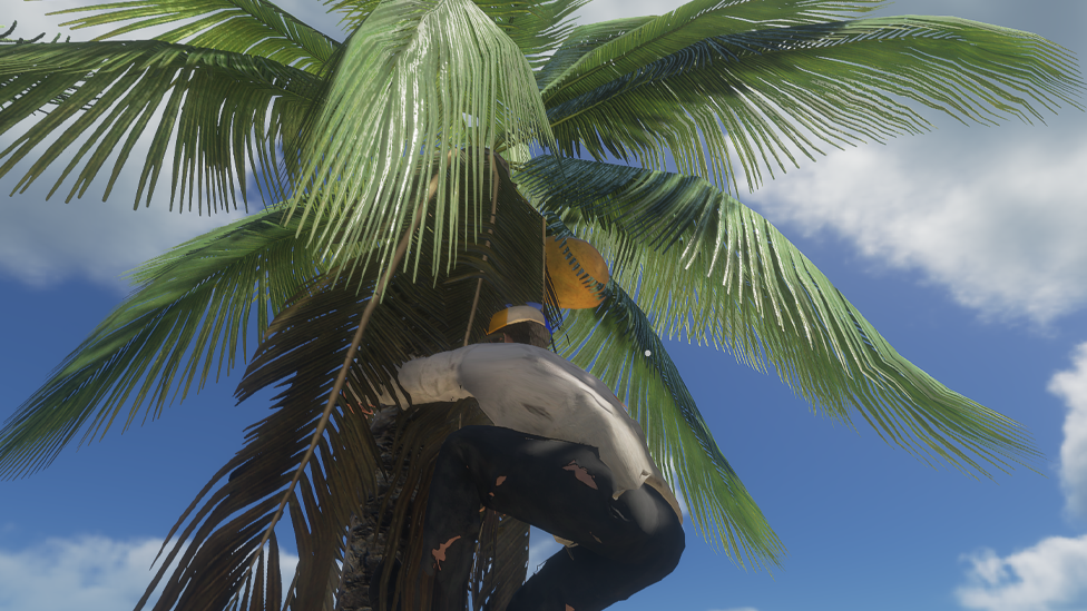 Investigate and Climb Palm Trees To Acquire Coconuts