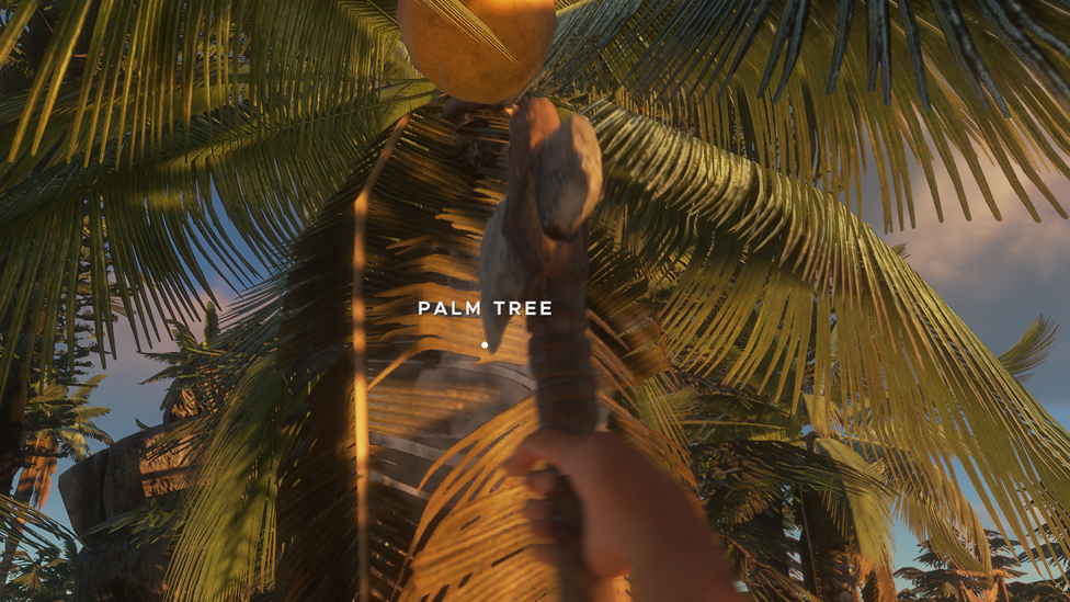Cut the Palm Tree Down With Axe