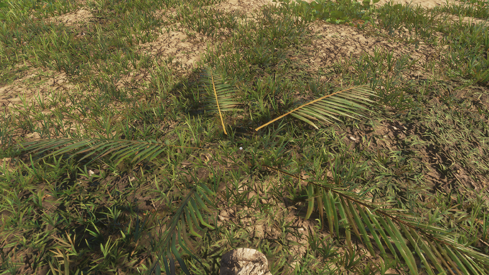 You&#039;ll Need 4 Palm Fronds For the Shelter