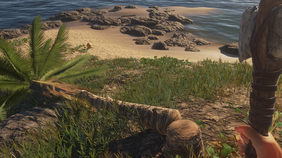 Trees Do Not Grow Back Once You Cut Them Down