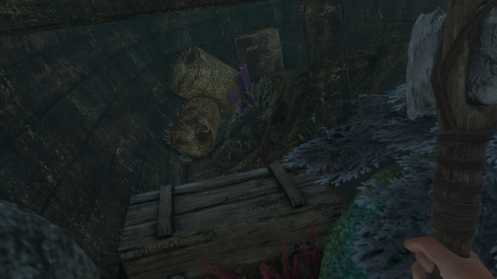 Investigate Shipwrecks