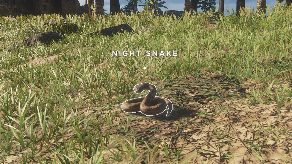 Night Snake