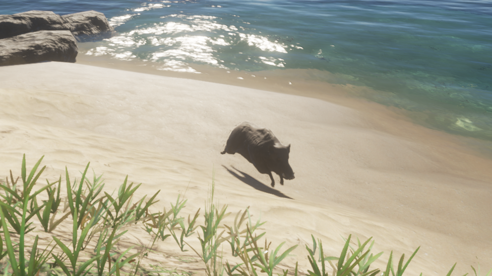 Boars in Stranded Deep