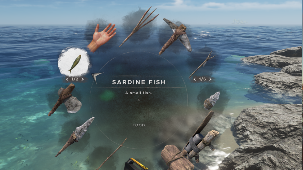 Hunt For Sardines Frequently To Avoid Starvation