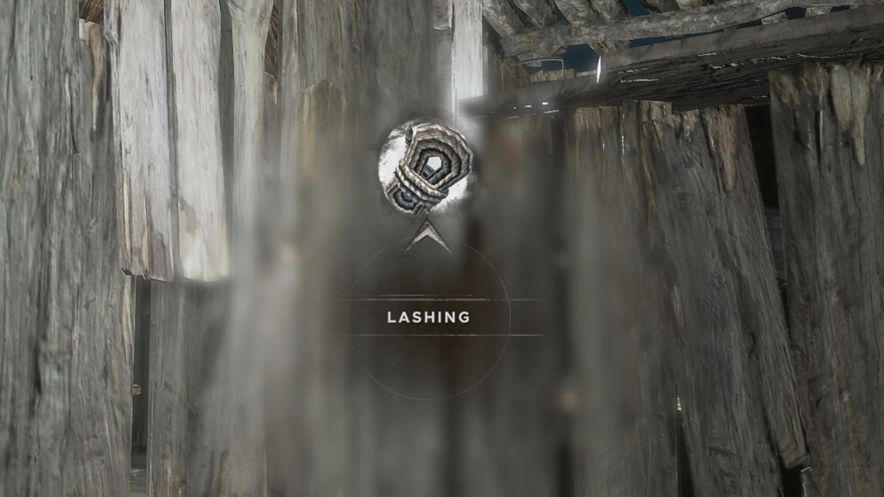 You Can Create Lashings With Fibrous Leaves