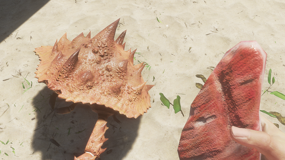 Medium Meat From Giant Crabs