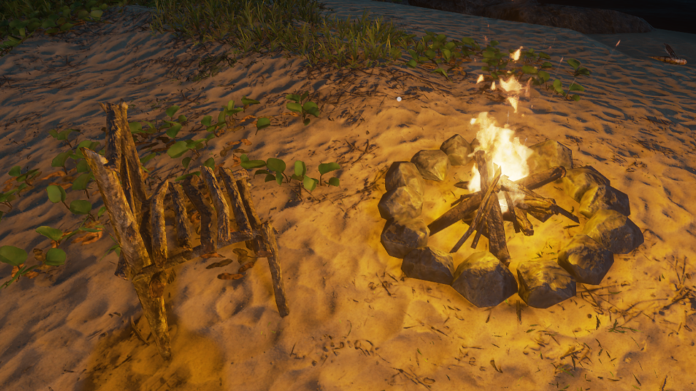 Why is Fire Essential