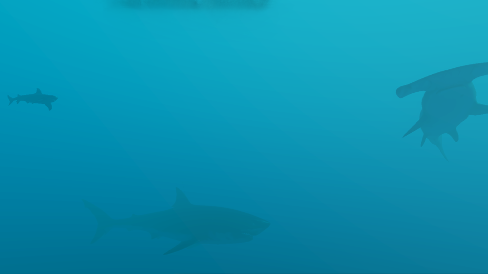 Sharks in Stranded Deep
