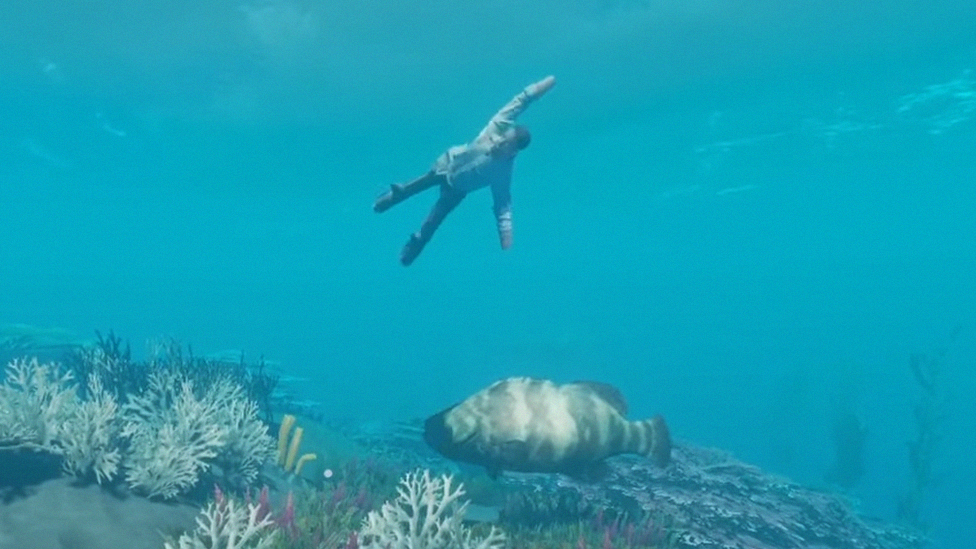 Reviving in Stranded Deep Importance