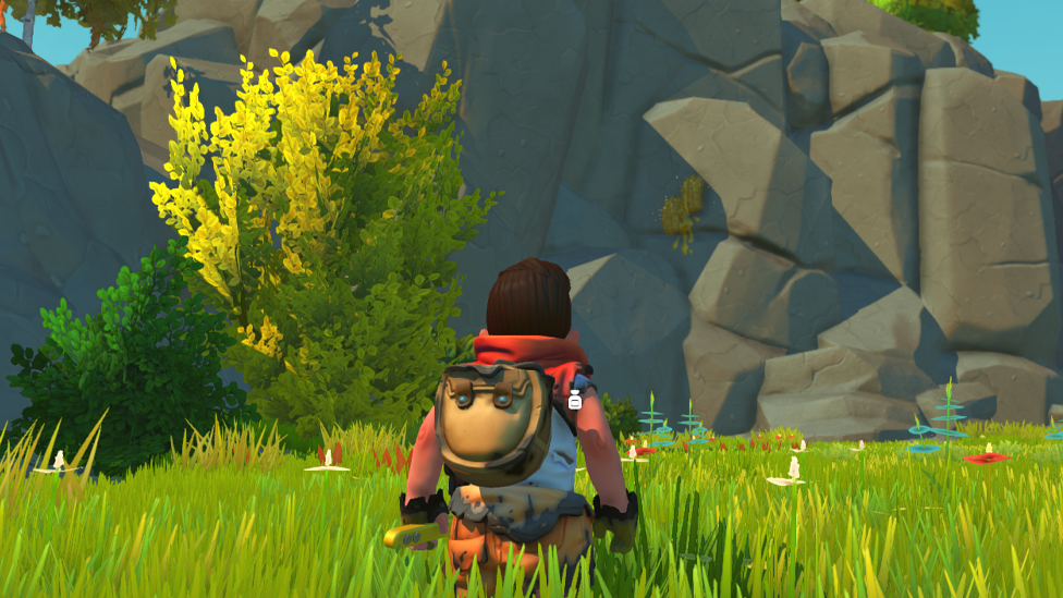 Visit Rocky Areas Frequently to Gather Beewax