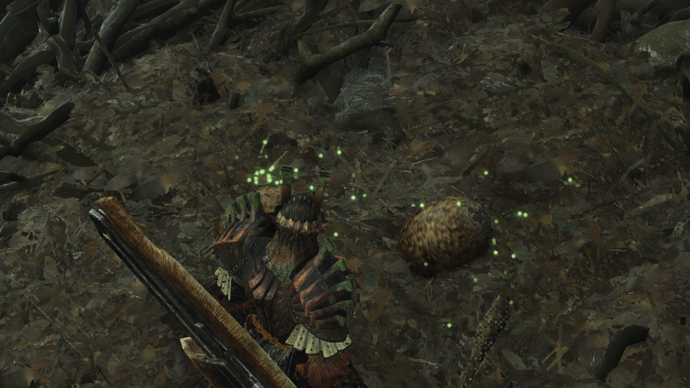 Wyvern Eggs in MH Wilds