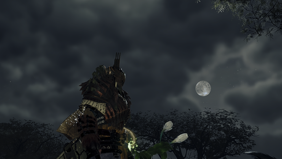 Always Check Up For the Skies Before Accepting the Quest