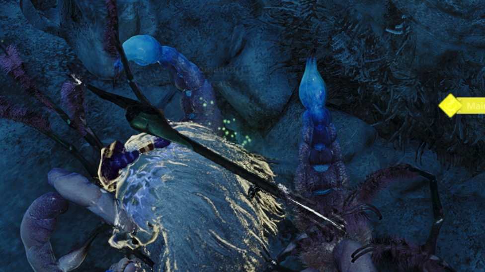 Don't Forget to Carve All Comaqchies