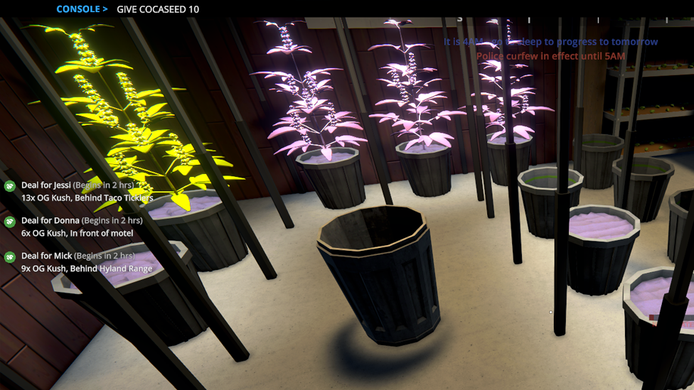 Typing in Console Command Cocaseed 10