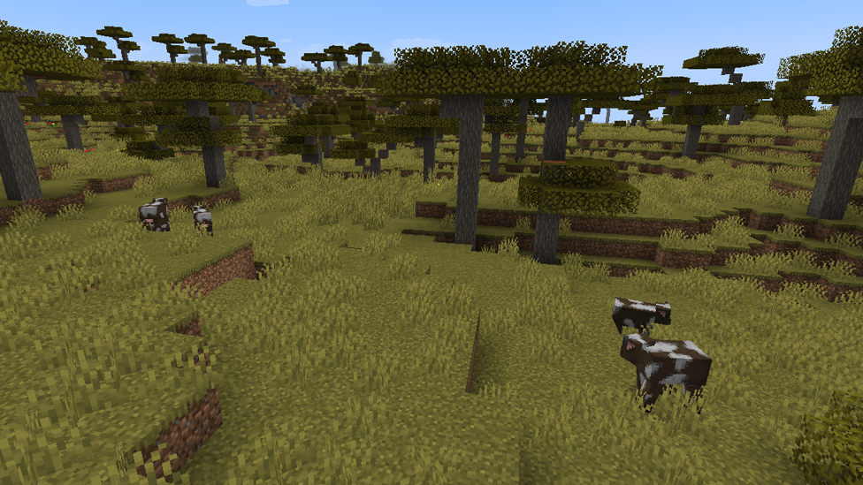 Cows in Minecraft