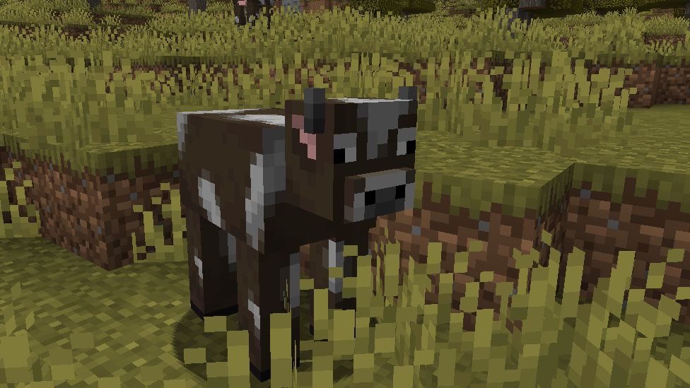 Temperate Cows in Minecraft
