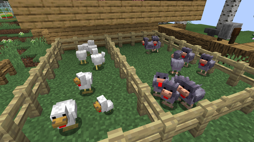 Build a Chicken Sanctuary in Your Base