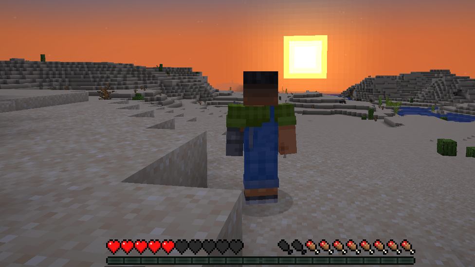 Health in Minecraft