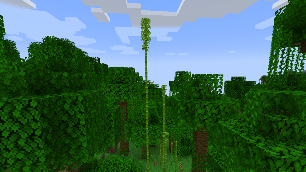 Welcome to the Jungle