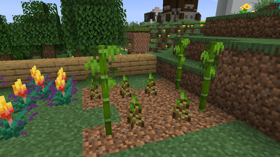 Place Bamboo on Dirt Block to Start Growing