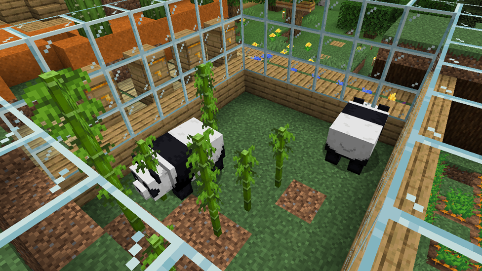 Breed and Feed Pandas