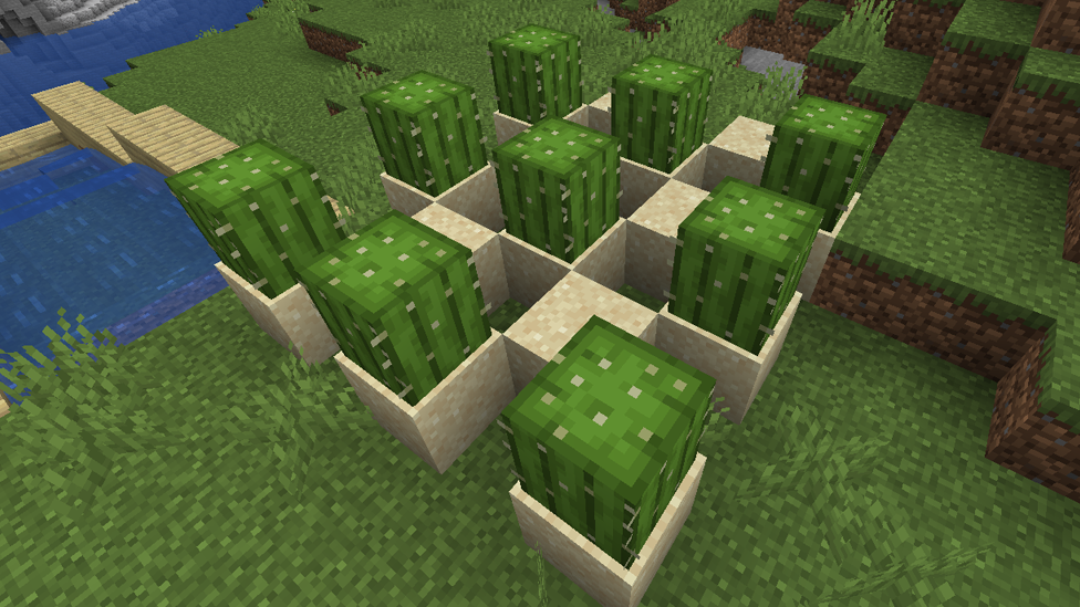 Setting Up Cactus Farm