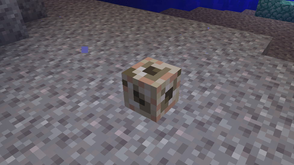 Conduit in Minecraft