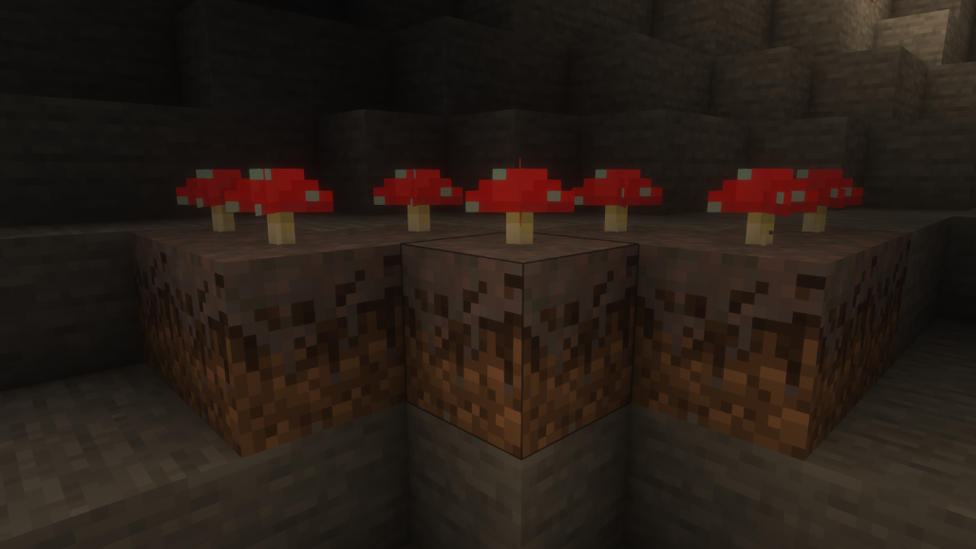 Cultivating Mushrooms on Mycelium