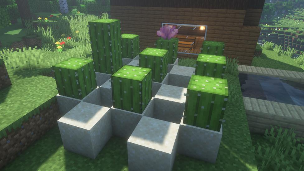 Growing a Cactus in Minecraft