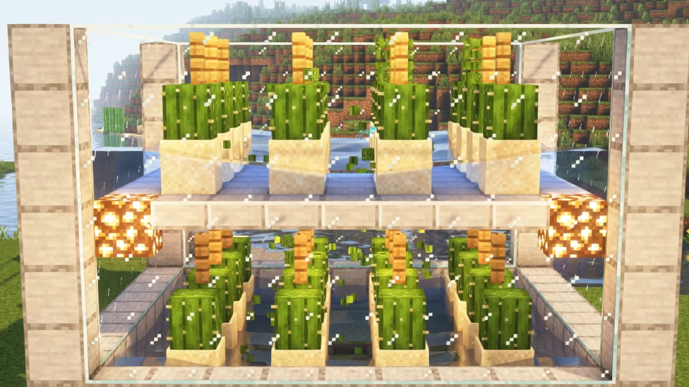 Automatic Cactus Farm Build