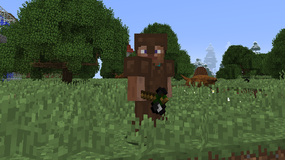 Flint Hatchet in RLCraft