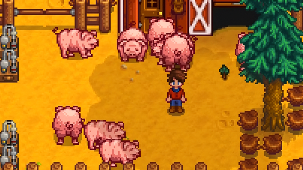 More Pigs, More Truffles, More Truffle Oil