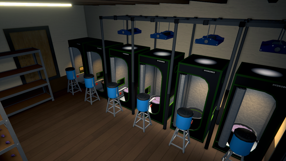 One Strain Setup for the Sweat Shop